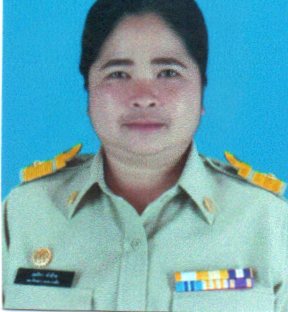 ไม่พบรูป